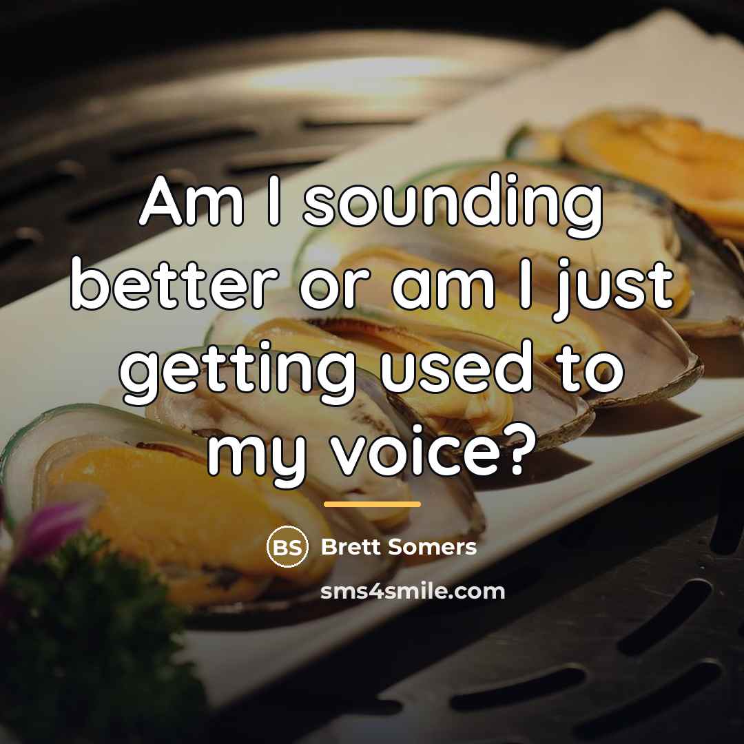 “Am I sounding better or am I just getting used…” quote by Brett Somers