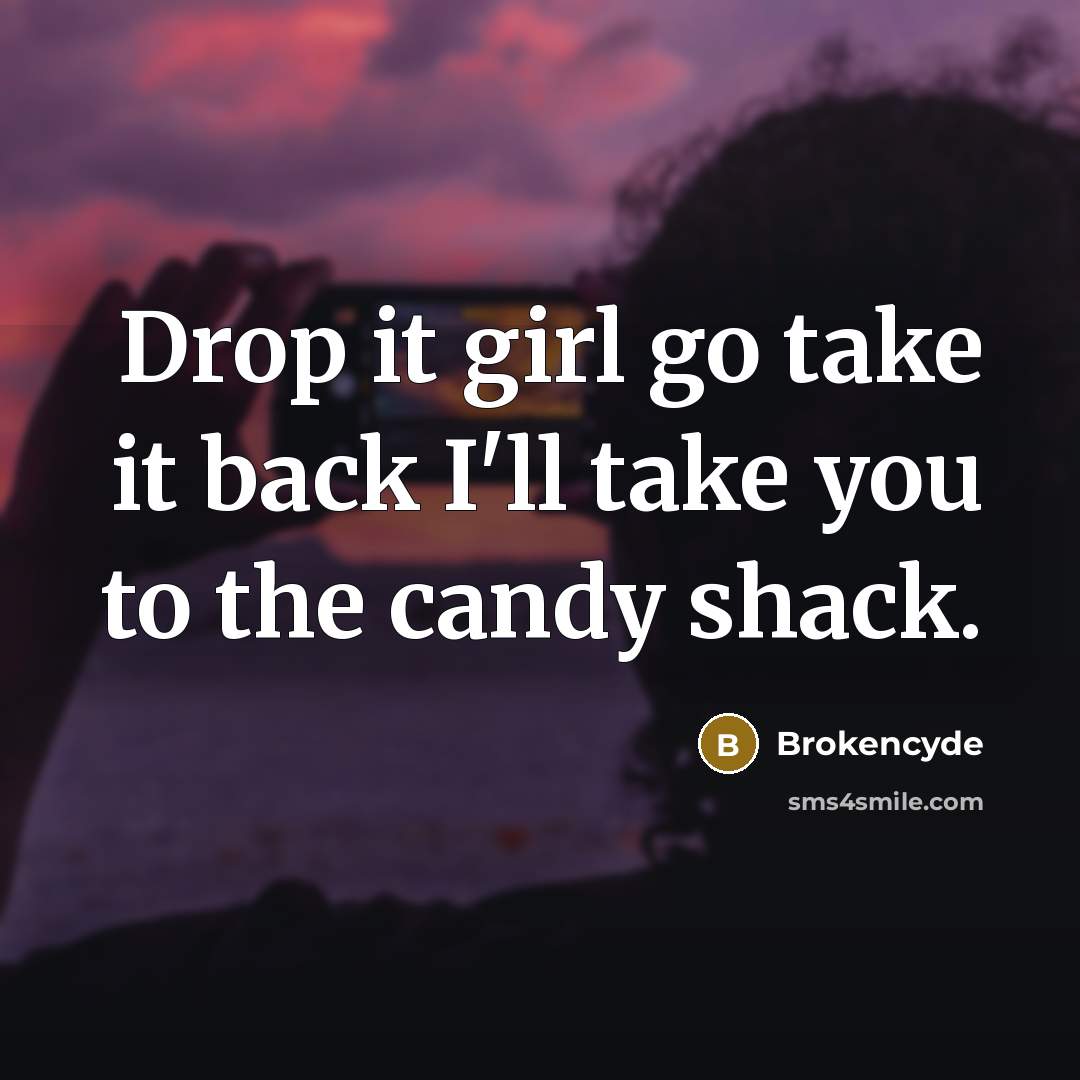“Drop it girl go take it back I'll take you…” quote by Brokencyde