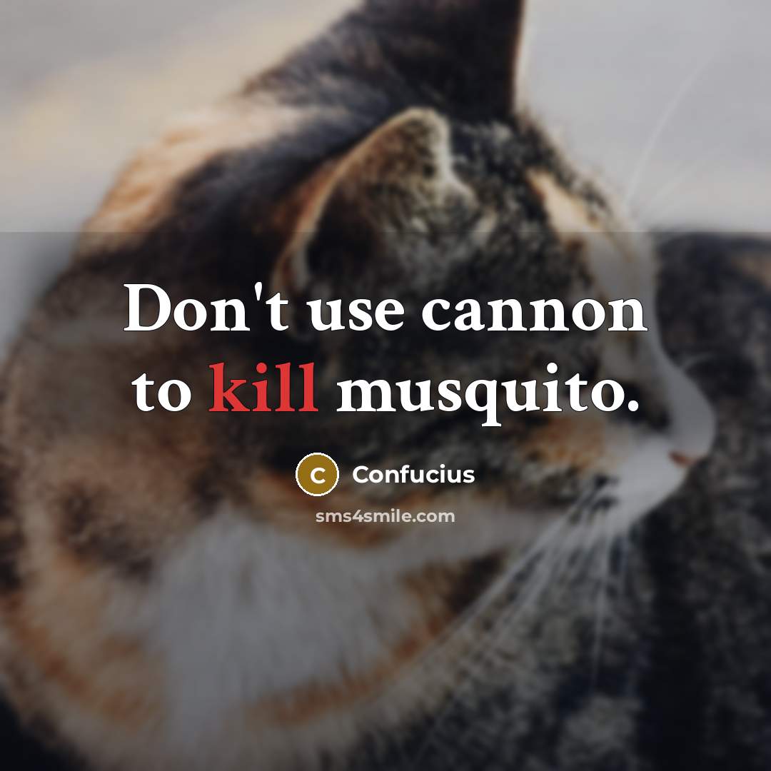 “Don't use cannon to kill musquito.…” quote by Confucius