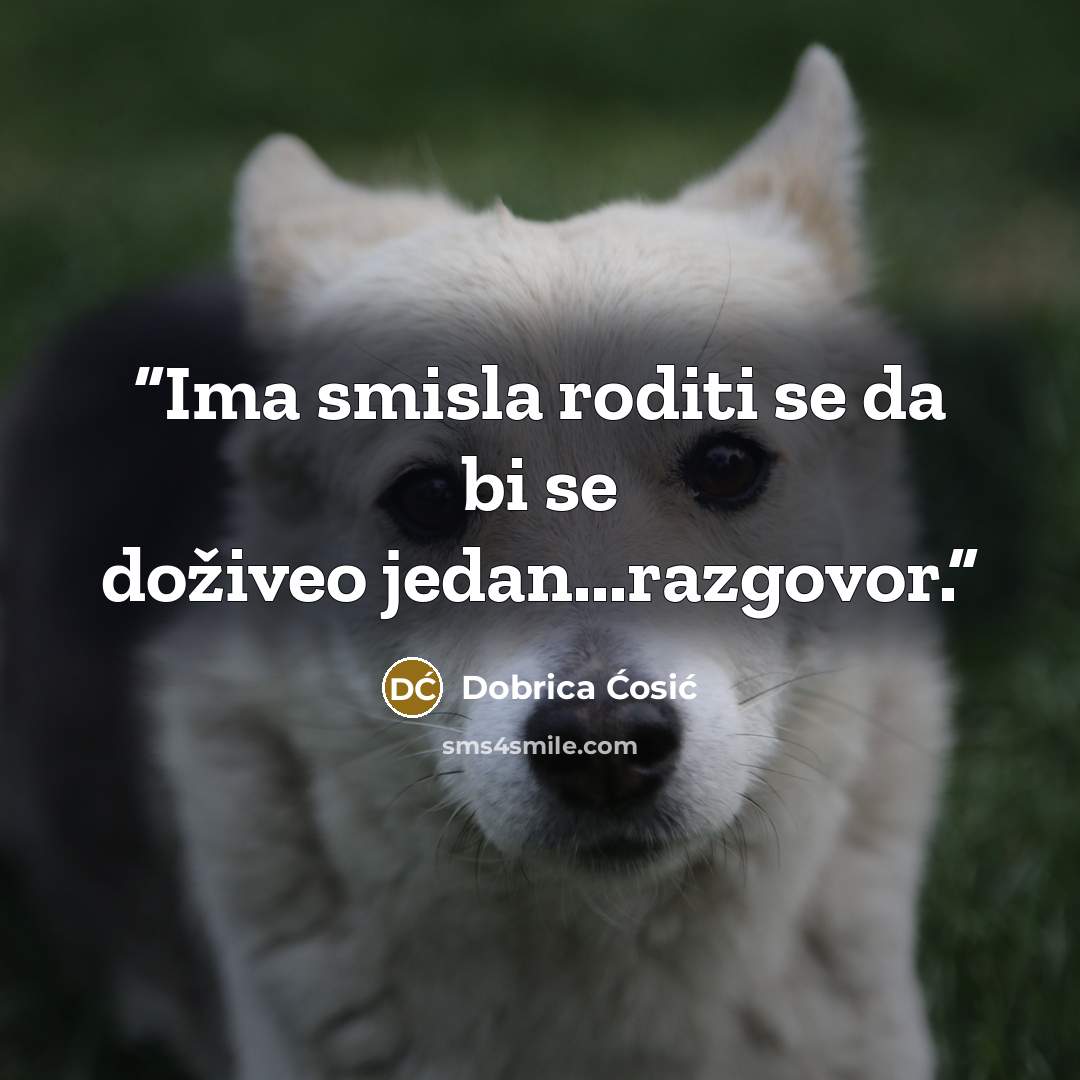 “Ima smisla roditi se da bi se doživeo jedan...razgovor.” quote by Dobrica Ćosić