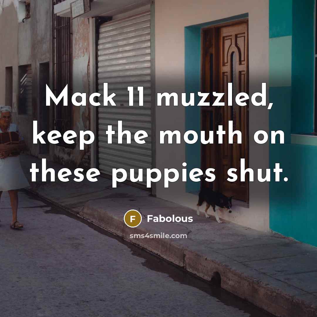 “Mack 11 muzzled, keep the mouth on these puppies shut.…” quote by Fabolous