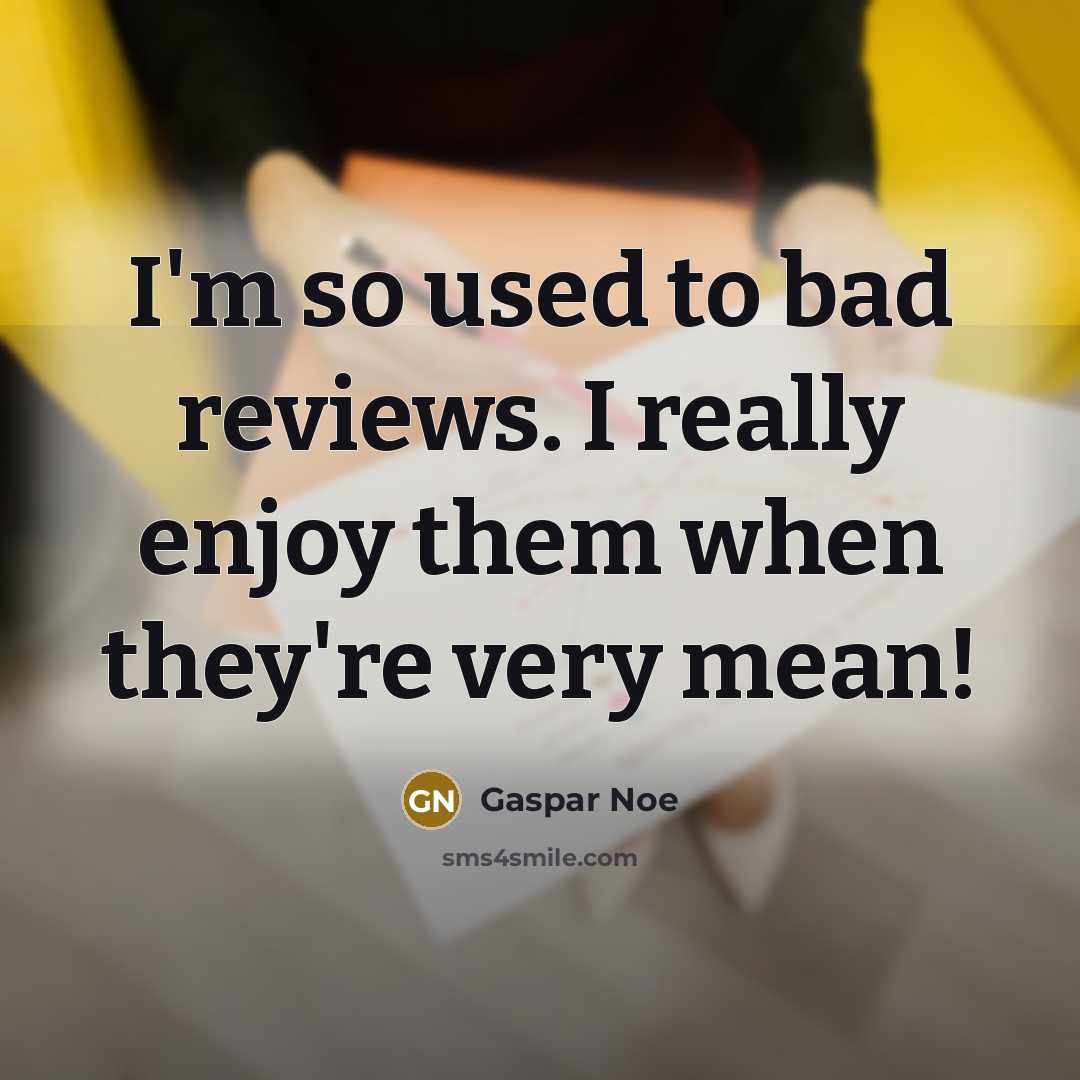 “I'm so used to bad reviews. I really enjoy them…” quote by Gaspar Noe