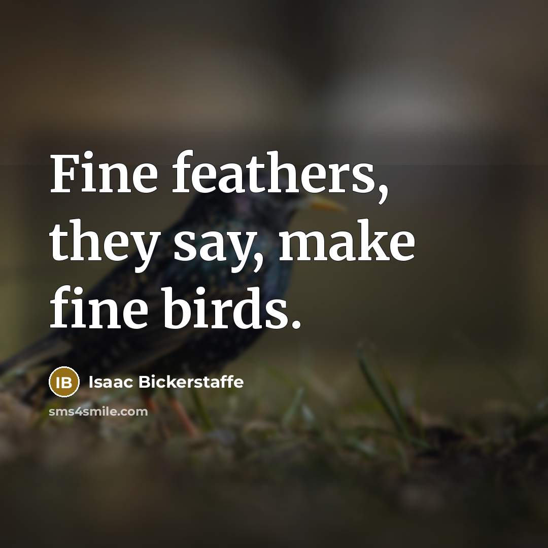 “Fine feathers, they say, make fine birds.…” quote by Isaac Bickerstaffe