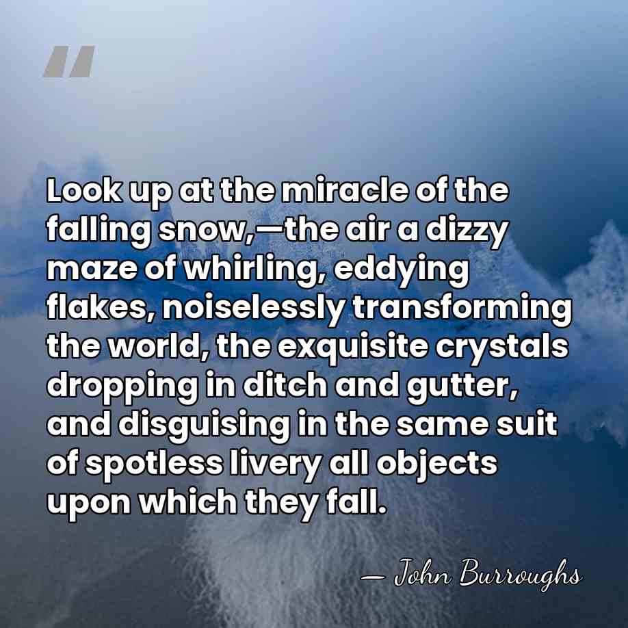 Look up at the miracle of the falling snow,—the air a dizzy&hellip; - John Burroughs