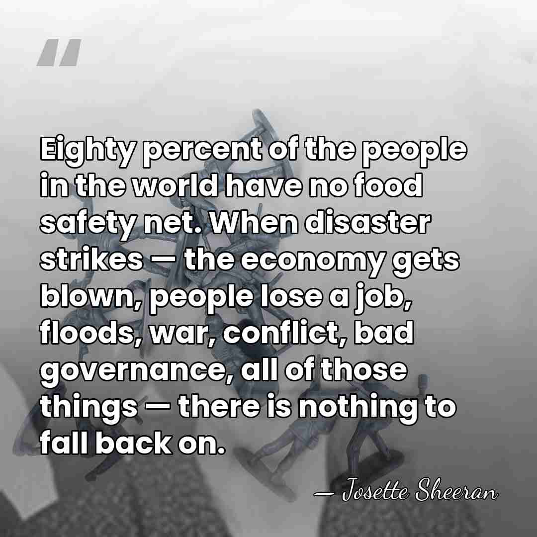 Eighty percent of the people in the world have no food safety&hellip; - Josette Sheeran
