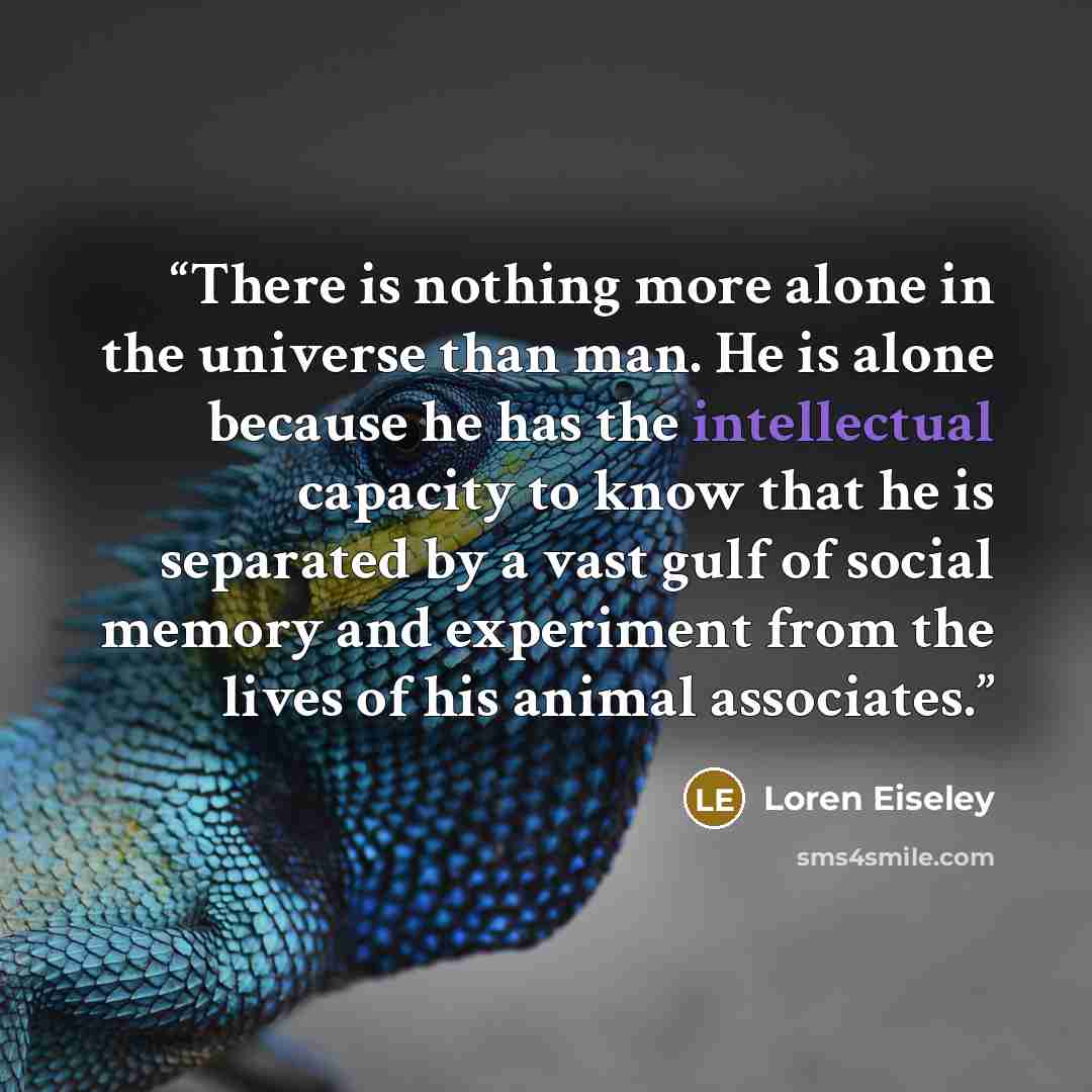 “There is nothing more alone in the universe than man. He is alone because he has the intellectual capacity to know that he is separated by a vast gulf of social memory and experiment from the lives of his animal associates.” quote by Loren Eiseley