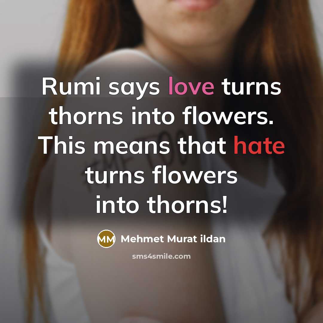 “Rumi says love turns thorns into flowers. This means that…” quote by Mehmet Murat Ildan