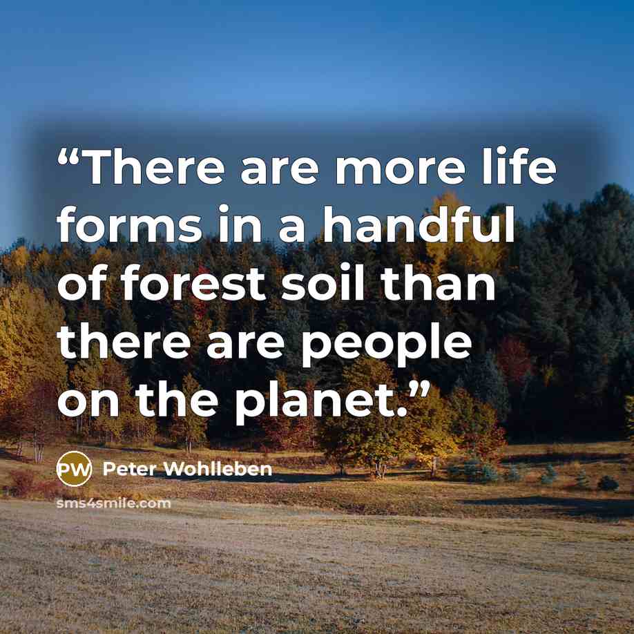 “There are more life forms in a handful of forest soil than there are people on the planet.” quote by Peter Wohlleben