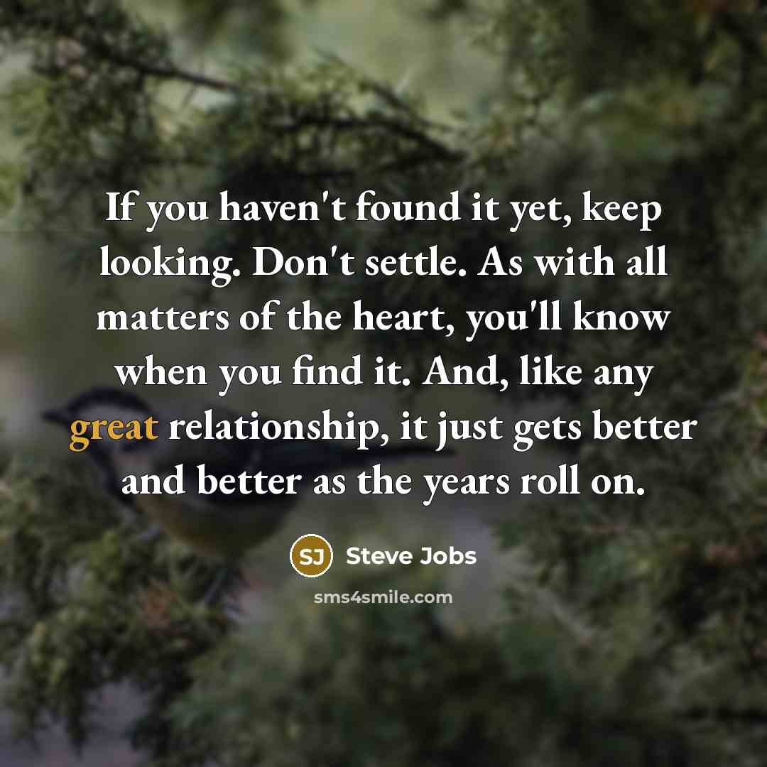 “If you haven't found it yet, keep looking. Don't settle.…” quote by Steve Jobs