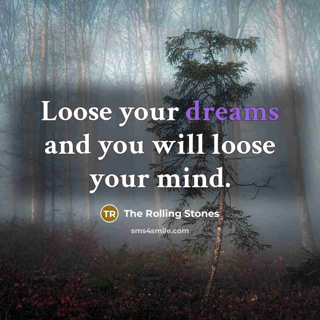 “Loose your dreams and you will loose your mind.…” quote by The Rolling Stones