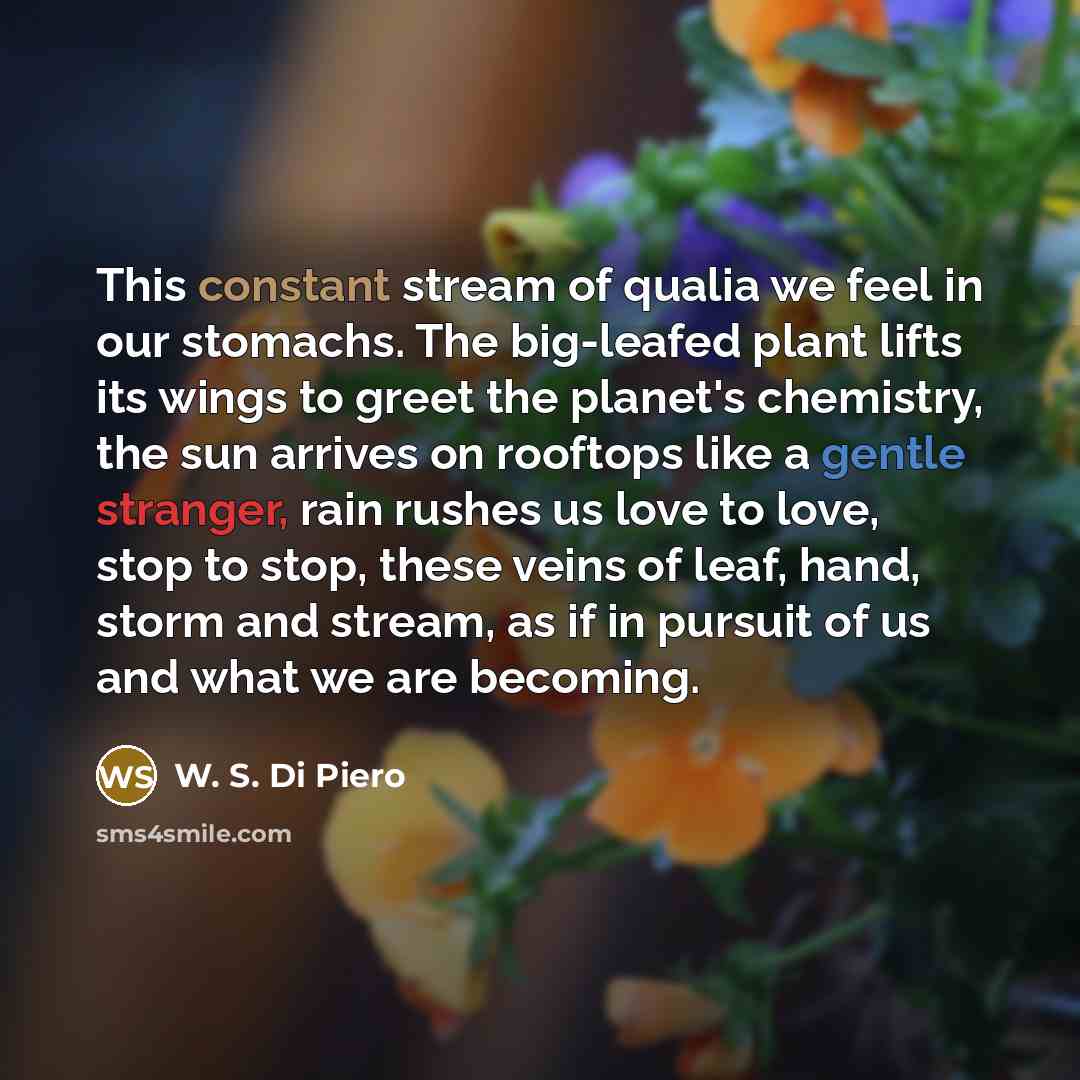 “This constant stream of qualia we feel in our stomachs.…” quote by W. S. Di Piero