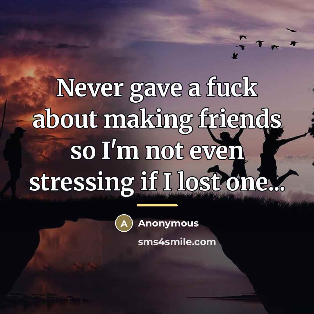 “Never gave a fuck about making friends so I'm not…” quote by Anonymous