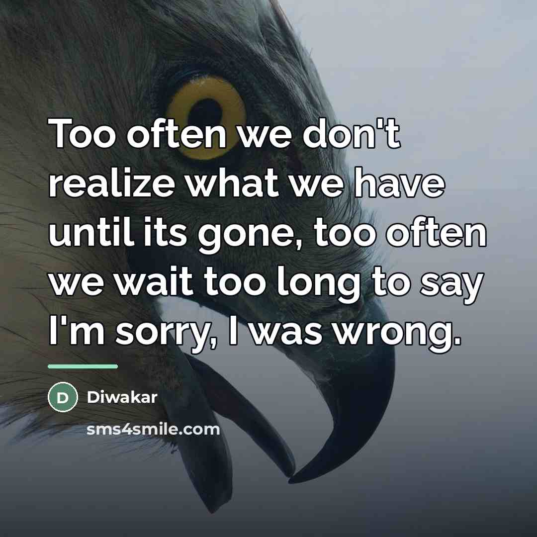 “Too often we don't realize what we have until its…” quote by Diwakar