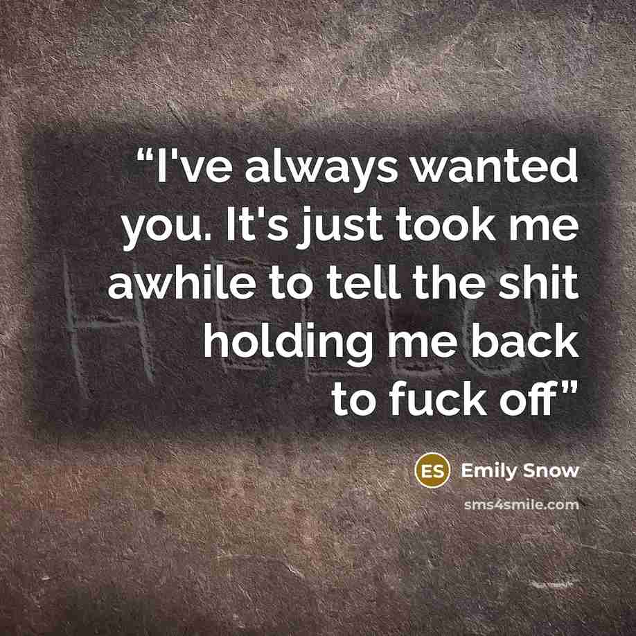 “I've always wanted you. It's just took me awhile to tell the shit holding me back to fuck off” quote by Emily Snow