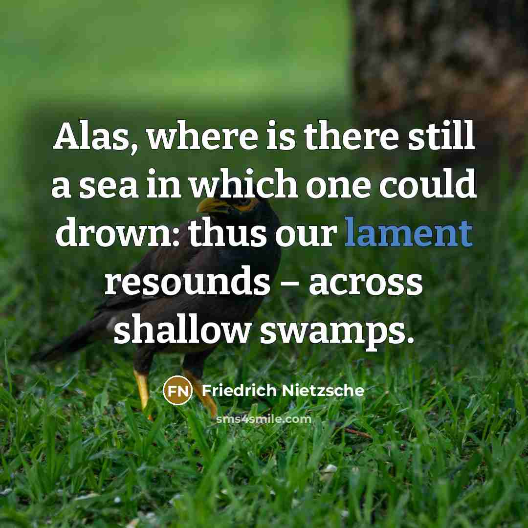 “Alas, where is there still a sea in which one…” quote by Friedrich Nietzsche