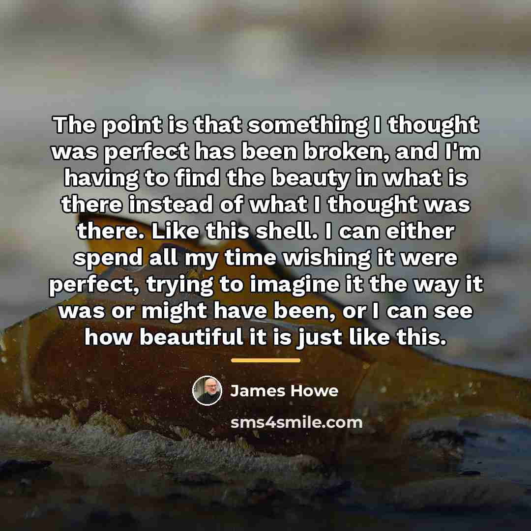 “The point is that something I thought was perfect has…” quote by James Howe