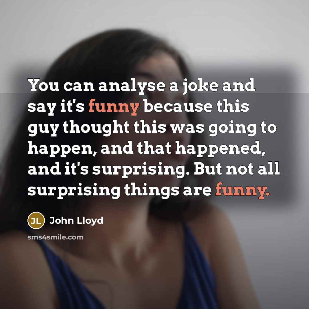 “You can analyse a joke and say it's funny because…” quote by John Lloyd