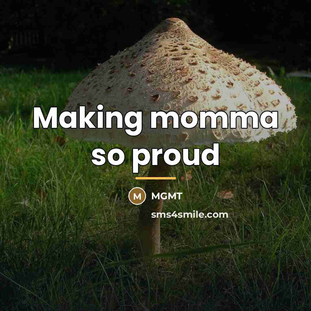 “Making momma so proud…” quote by MGMT