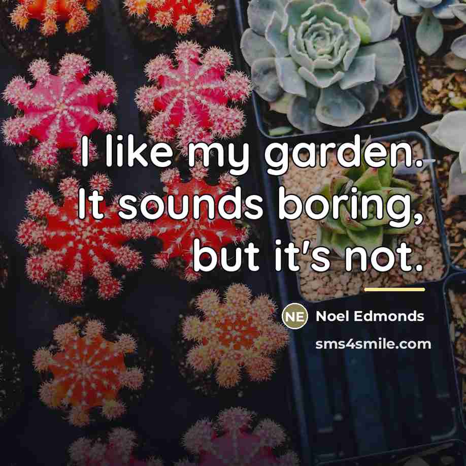 “I like my garden. It sounds boring, but it's not.…” quote by Noel Edmonds