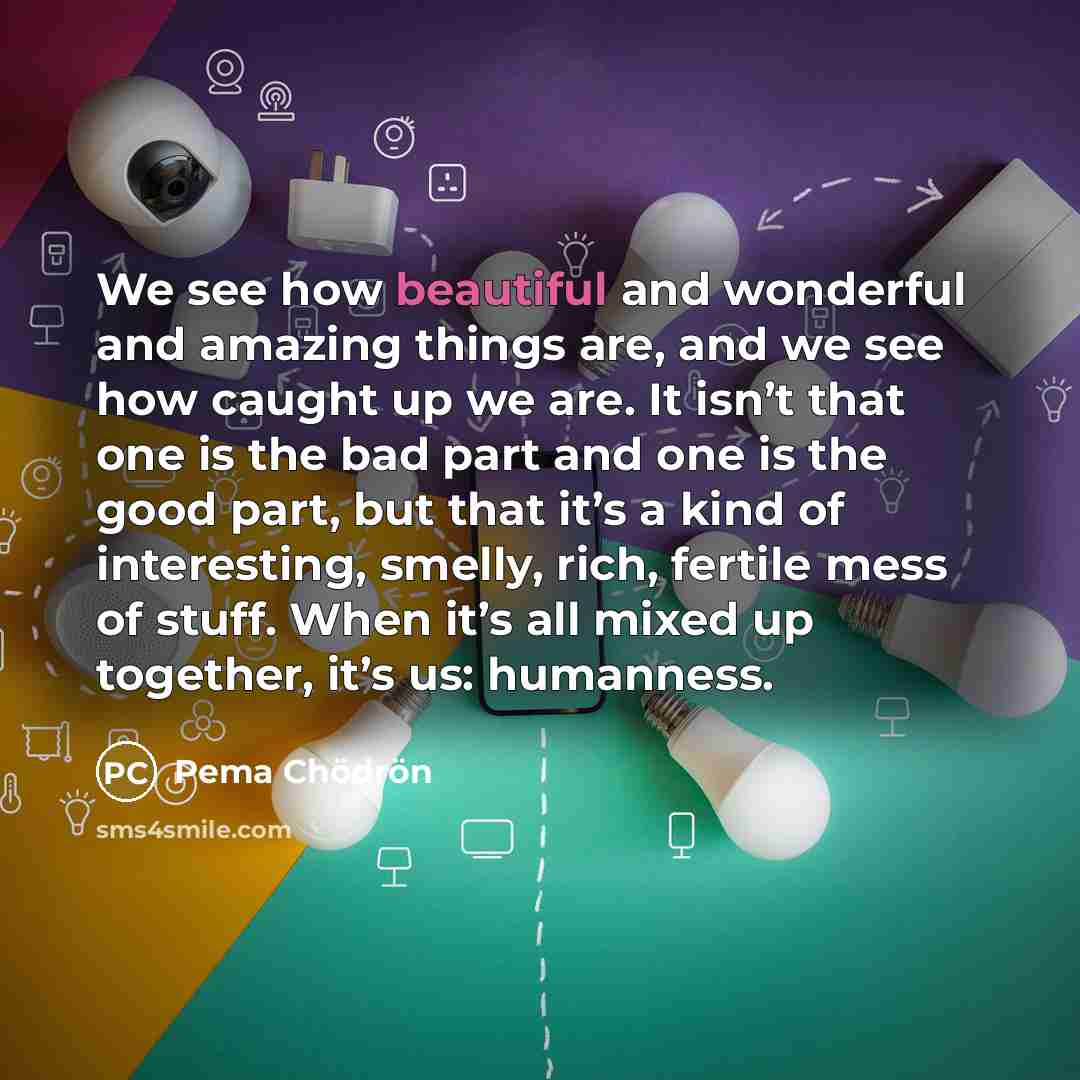 “We see how beautiful and wonderful and amazing things are,…” quote by Pema Chodron