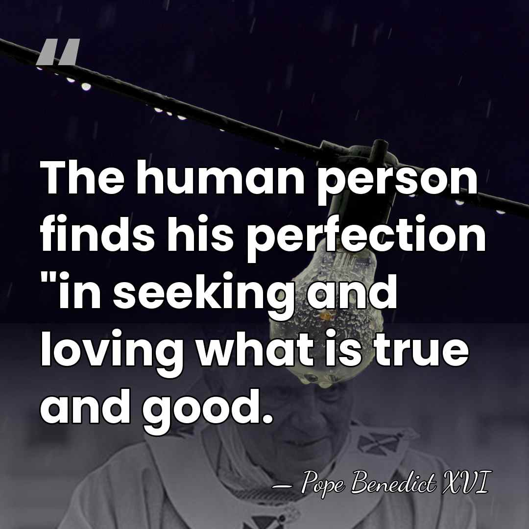 The human person finds his perfection "in seeking and loving what is&hellip; - Pope Benedict XVI