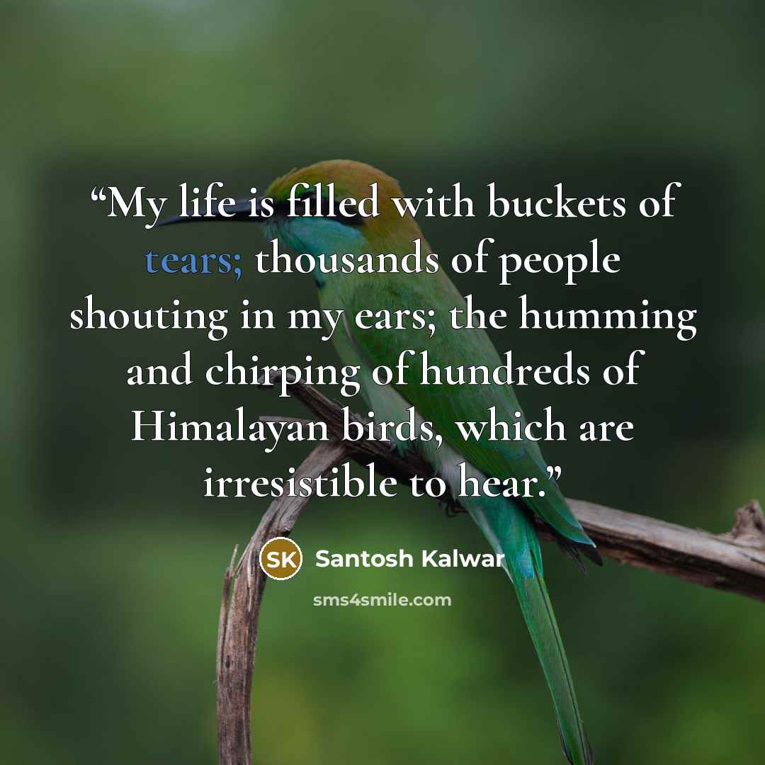 “My life is filled with buckets of tears; thousands of people shouting in my ears; the humming and chirping of hundreds of Himalayan birds, which are irresistible to hear.” quote by Santosh Kalwar
