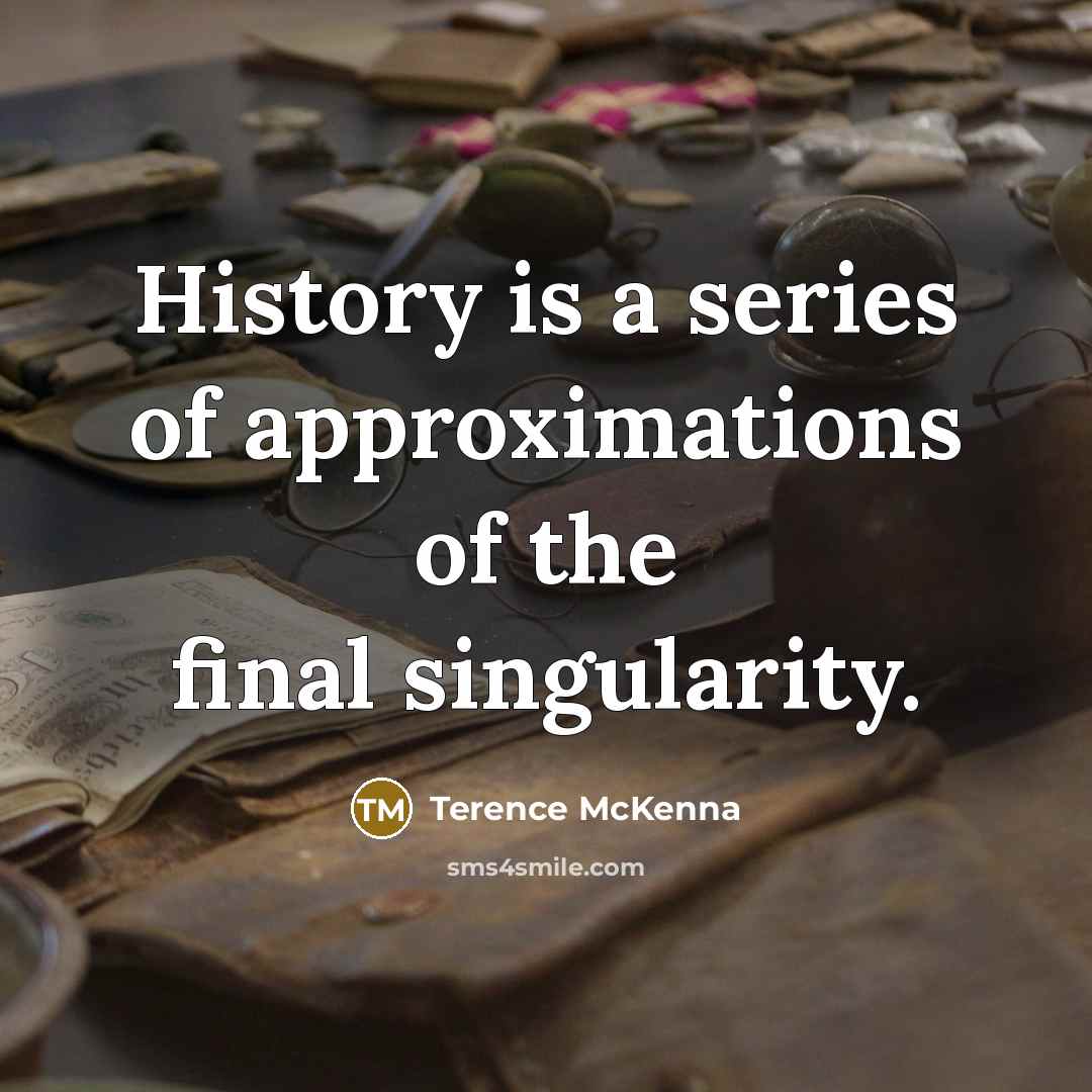 “History is a series of approximations of the final singularity.…” quote by Terence McKenna