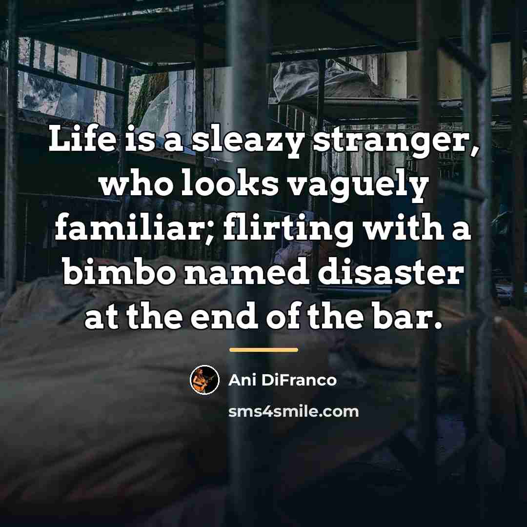 “Life is a sleazy stranger, who looks vaguely familiar; flirting…” quote by Ani DiFranco