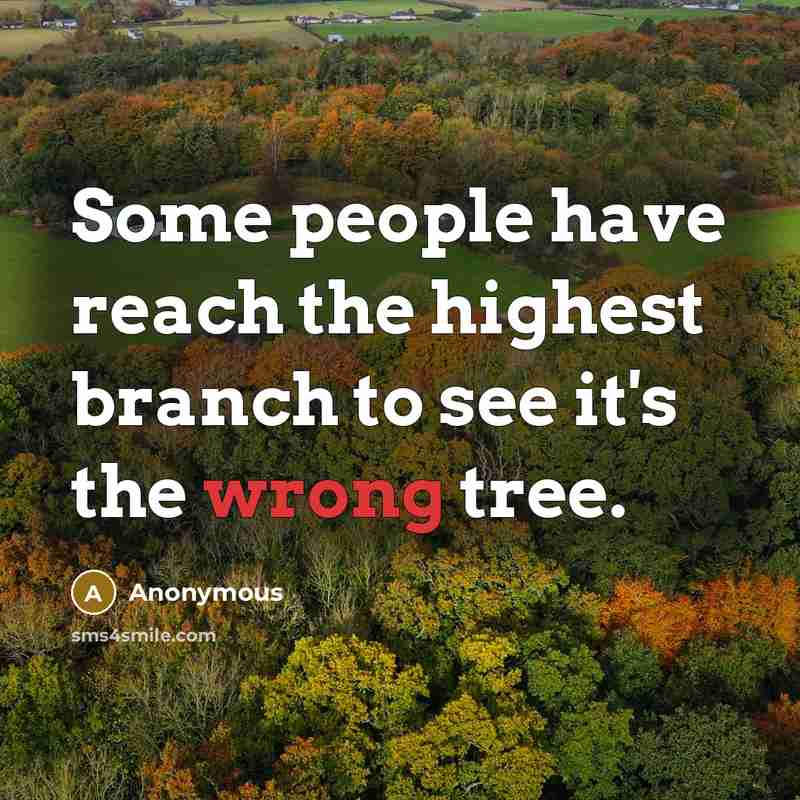 “Some people have reach the highest branch to see it's…” quote by Anonymous