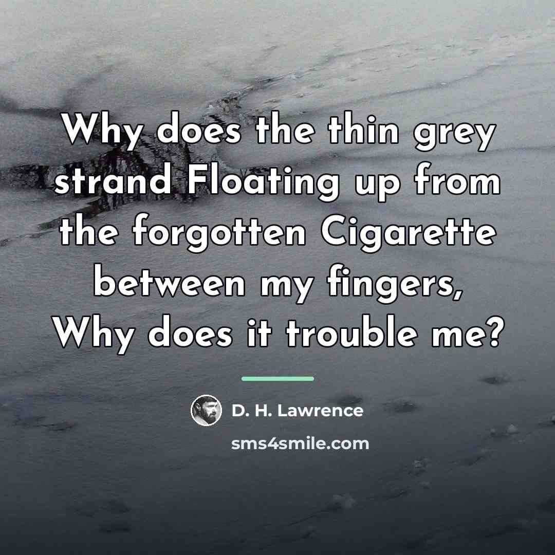 “Why does the thin grey strand Floating up from the…” quote by D. H. Lawrence