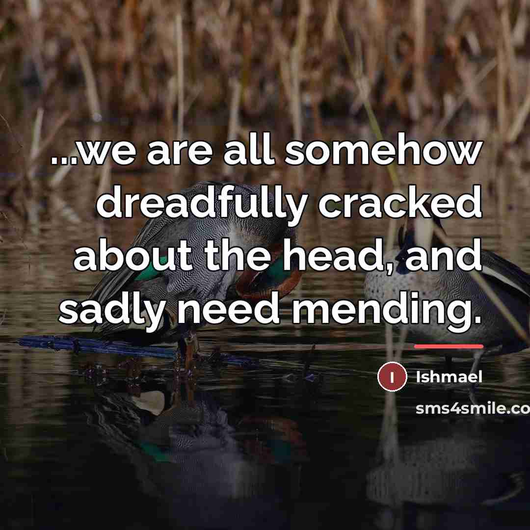 “...we are all somehow dreadfully cracked about the head, and…” quote by Ishmael