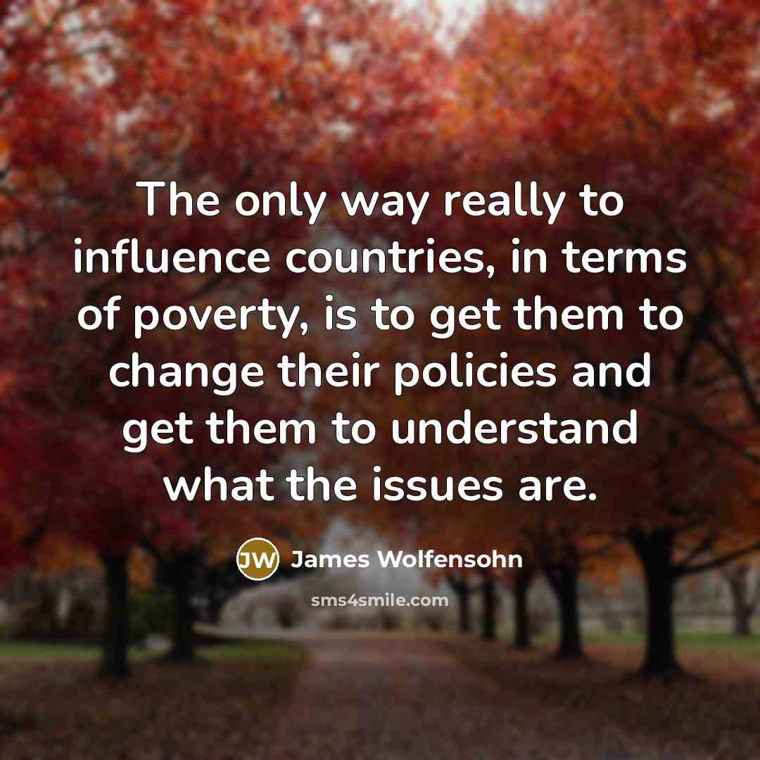 “The only way really to influence countries, in terms of…” quote by James Wolfensohn