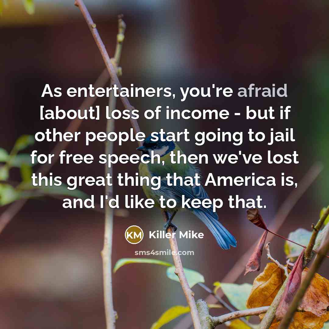 “As entertainers, you're afraid [about] loss of income - but…” quote by Killer Mike