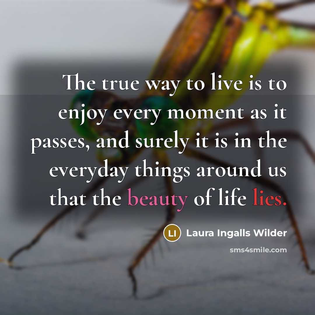 “The true way to live is to enjoy every moment…” quote by Laura Ingalls Wilder
