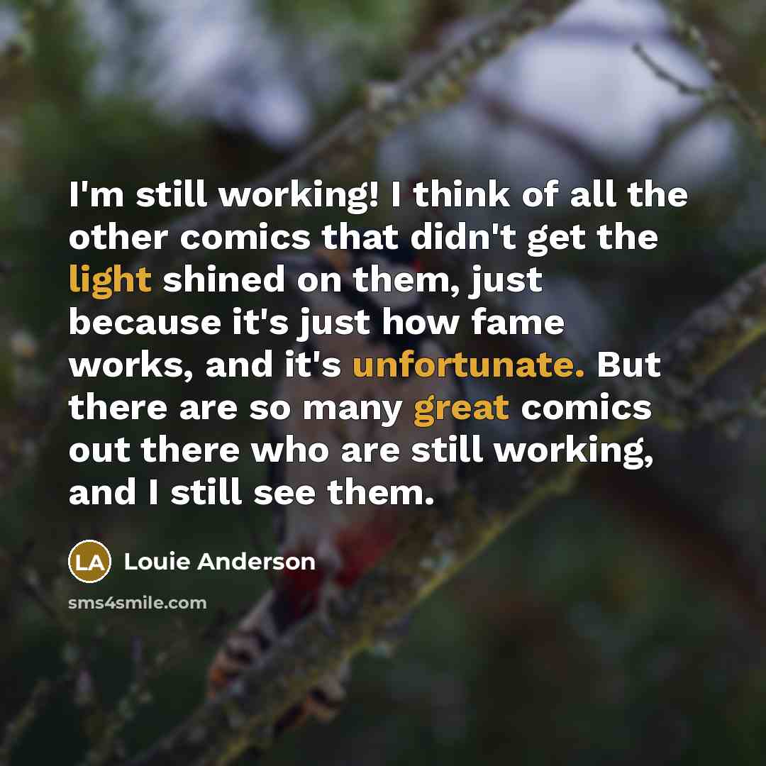 “I'm still working! I think of all the other comics that didn't get the light shined on them, just because it's just how fame works, and it's unfortunate. But there are so many great comics out there who are still working, and I still see them.” quote by Louie Anderson