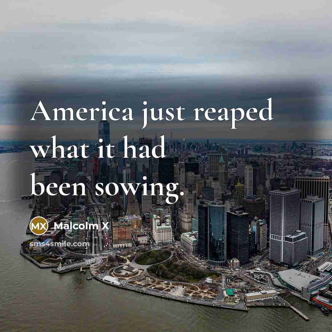 “America just reaped what it had been sowing.…” quote by Malcolm X