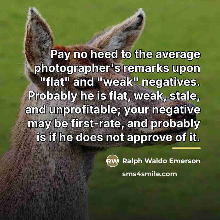“Pay no heed to the average photographer's remarks upon "flat"…” quote by Ralph Waldo Emerson