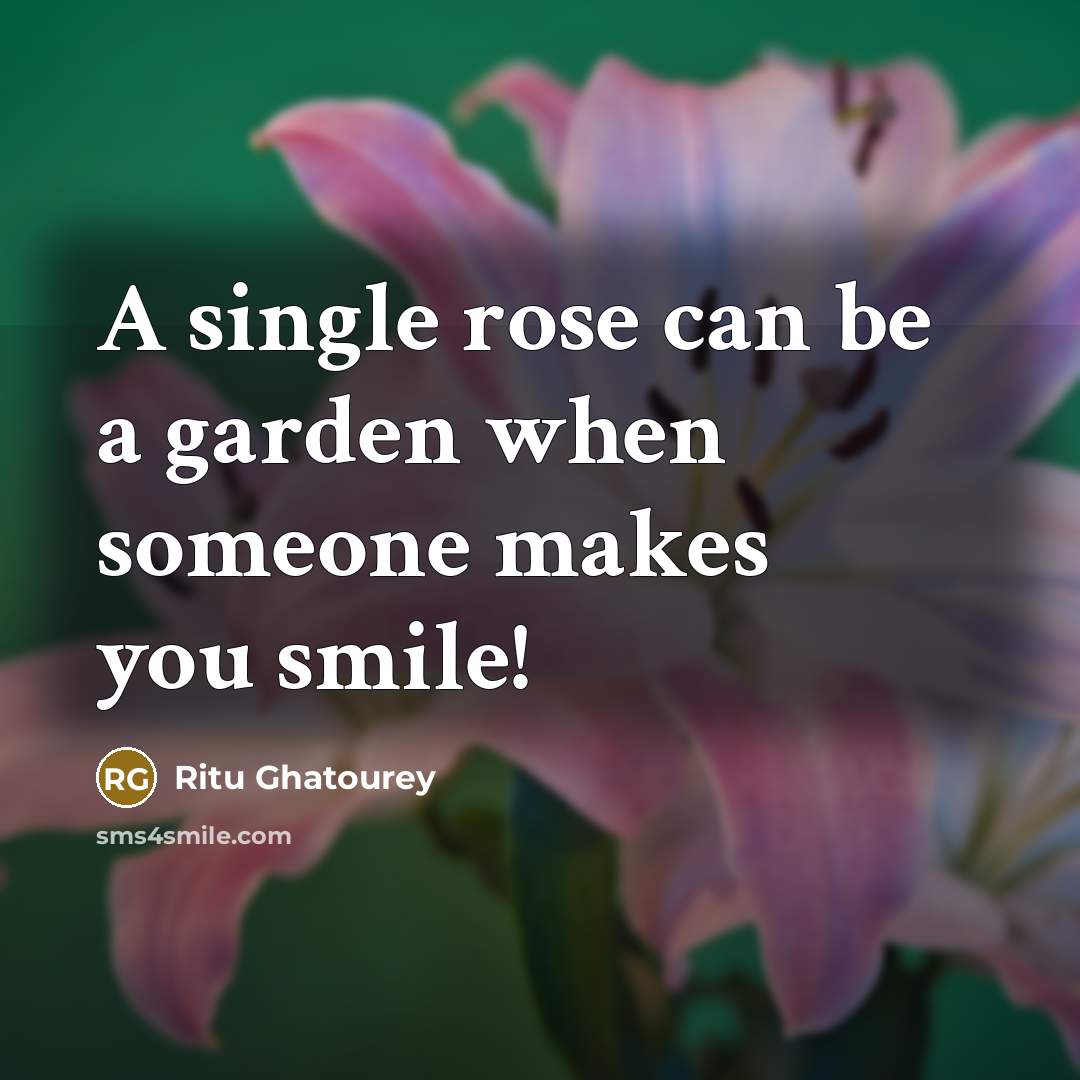 “A single rose can be a garden when someone makes you smile!” quote by Ritu Ghatourey