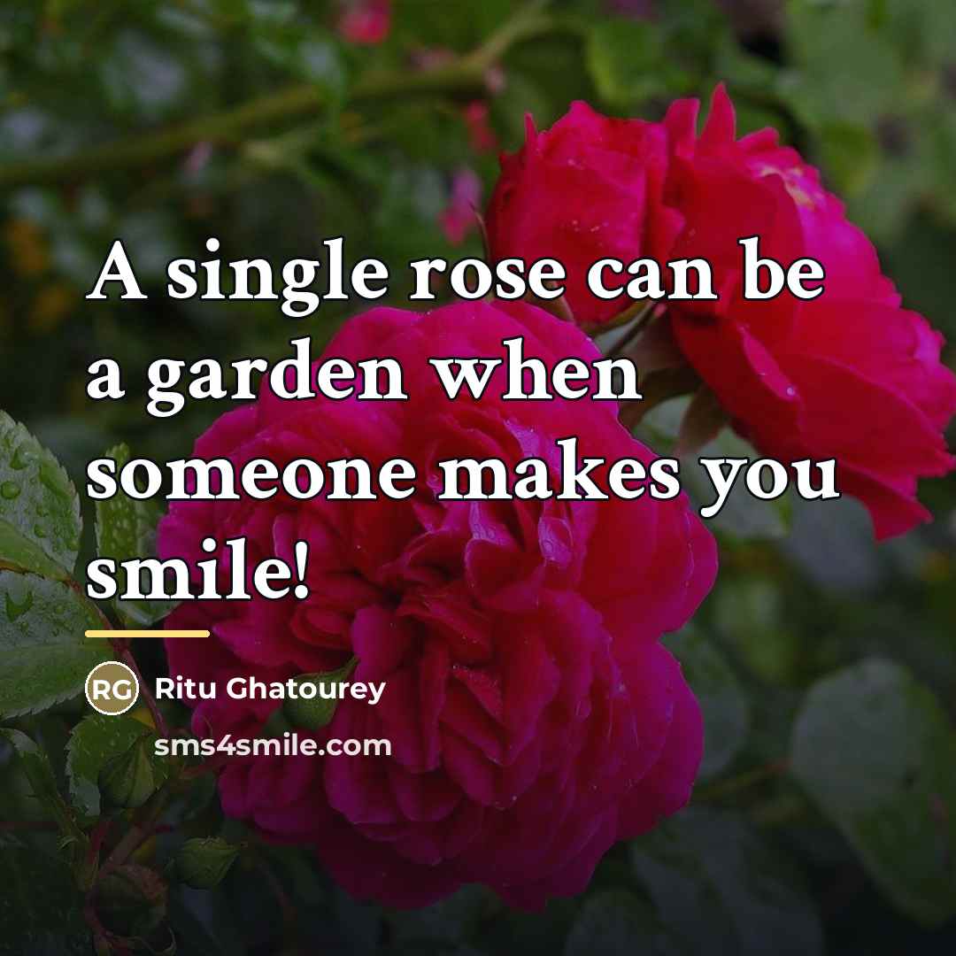 “A single rose can be a garden when someone makes…” quote by Ritu Ghatourey