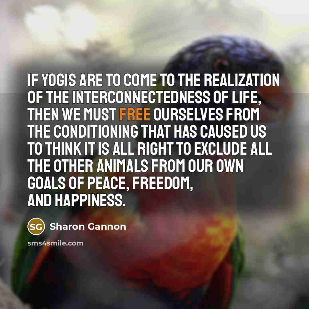 “If yogis are to come to the realization of the…” quote by Sharon Gannon