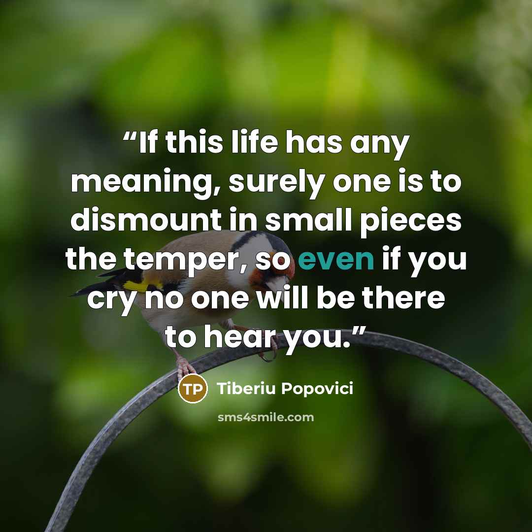 “If this life has any meaning, surely one is to dismount in small pieces the temper, so even if you cry no one will be there to hear you.” quote by Tiberiu Popovici