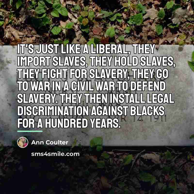 “It's just like a liberal, they import slaves, they hold…” quote by Ann Coulter