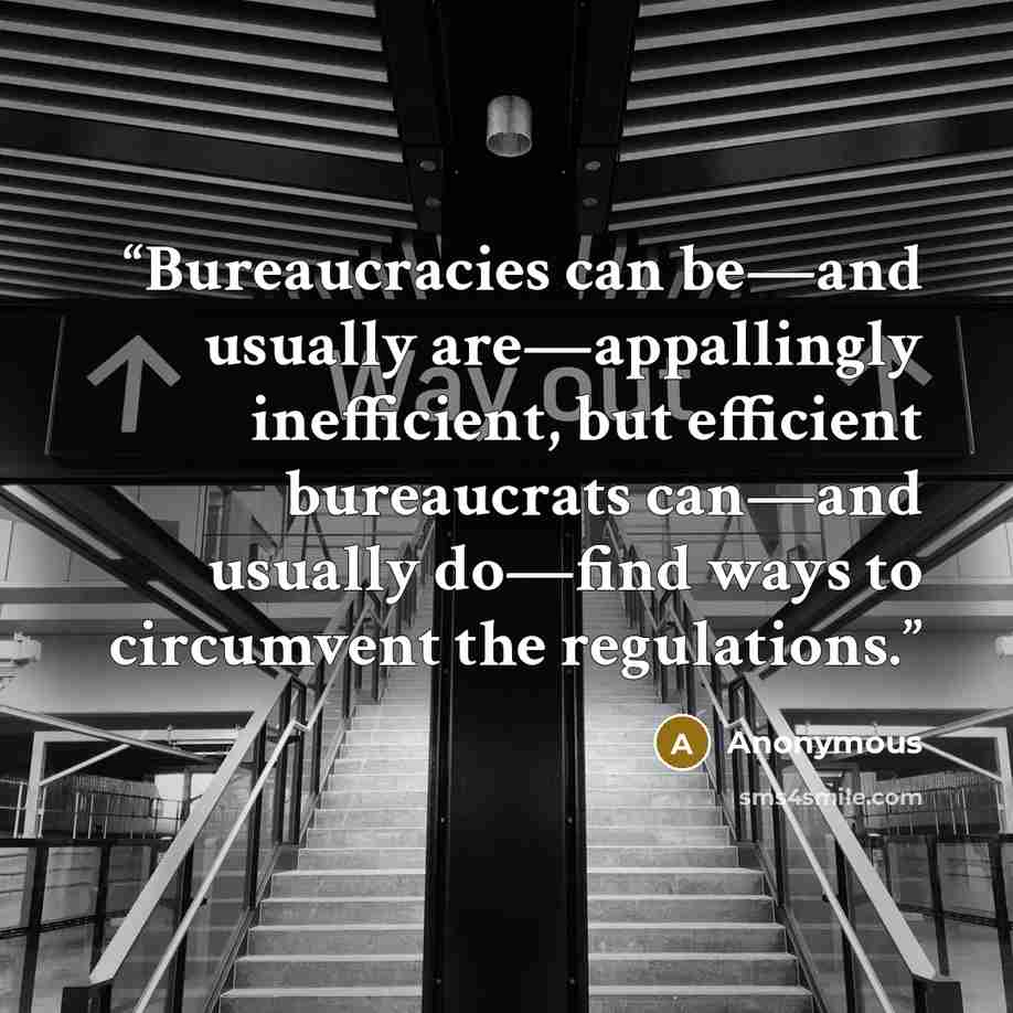 “Bureaucracies can be—and usually are—appallingly inefficient, but efficient bureaucrats can—and usually do—find ways to circumvent the regulations.” quote by Anonymous