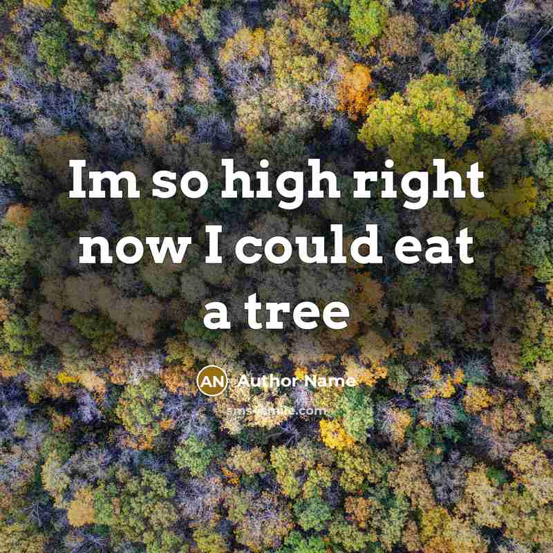 “Im so high right now I could eat a tree” quote by Author Name