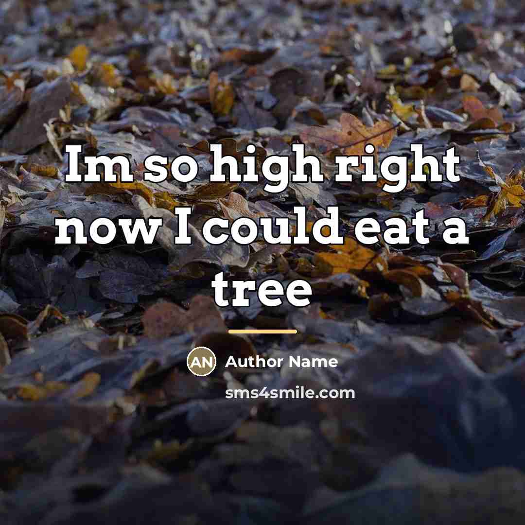 “Im so high right now I could eat a tree…” quote by Author Name