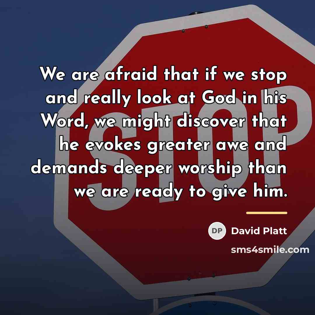 “We are afraid that if we stop and really look…” quote by David Platt
