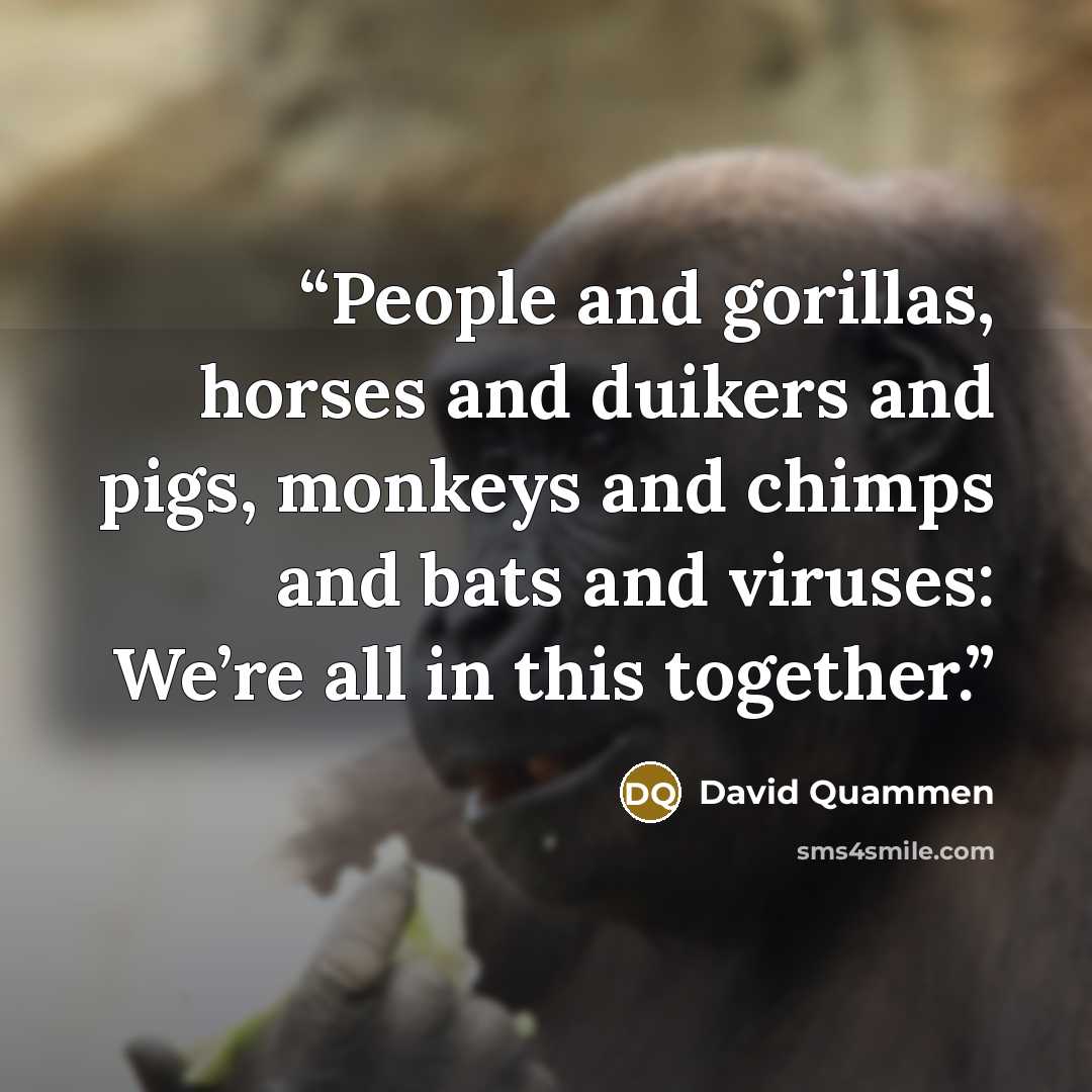 “People and gorillas, horses and duikers and pigs, monkeys and chimps and bats and viruses: We’re all in this together.” quote by David Quammen