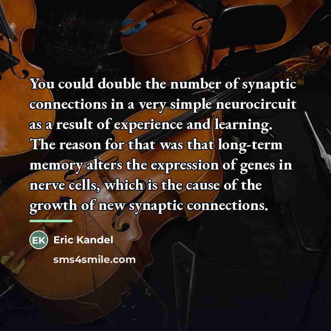“You could double the number of synaptic connections in a…” quote by Eric Kandel