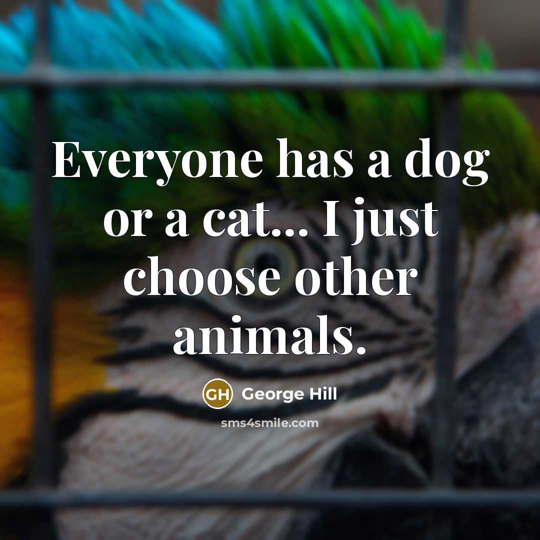“Everyone has a dog or a cat... I just choose…” quote by George Hill