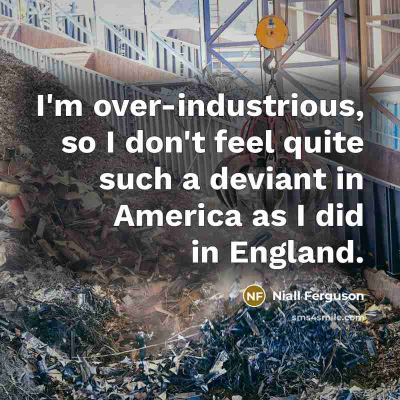 “I'm over-industrious, so I don't feel quite such a deviant…” quote by Niall Ferguson